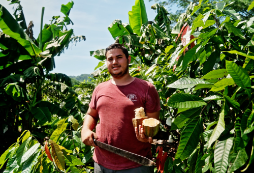 Farmer holding cacao pod cut open and a machete in between trees